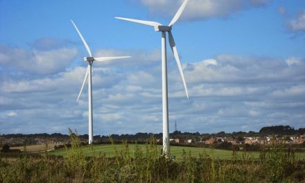 Councillor ‘completely opposed’ to windfarms